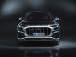 Audi SQ8 TDI 2019 года (WW)